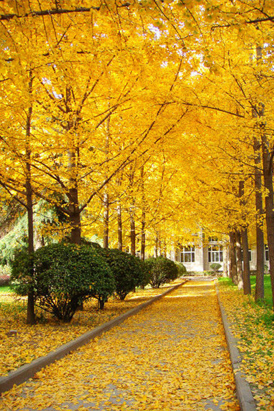 西安石油大學
