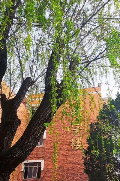 歲月流金 · 青春不散場(chǎng)
