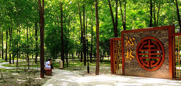 西安醫(yī)學(xué)高等?？茖W(xué)校 - 最美大學(xué)
