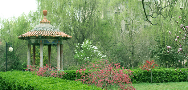 陜西能源職業(yè)技術學院 - 最美大學