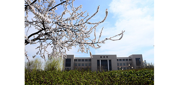 天津財經(jīng)大學(xué)珠江學(xué)院 - 最美大學(xué)