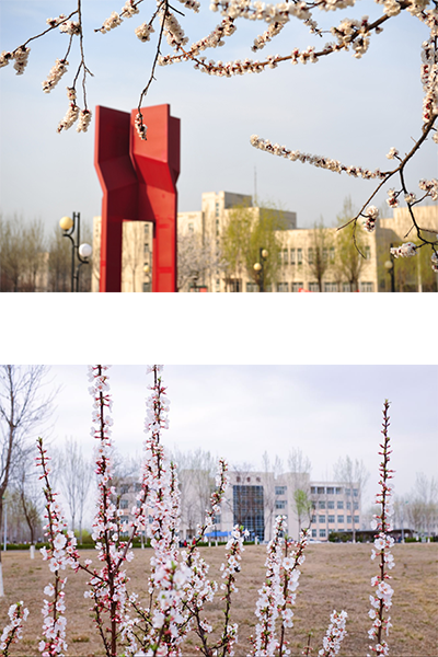 天津財經(jīng)大學(xué)珠江學(xué)院
