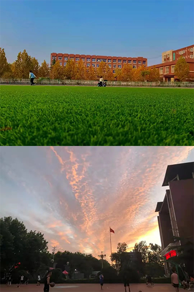 石家莊經(jīng)濟職業(yè)學院