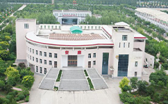 文化標識：校名題寫 / 校徽設計