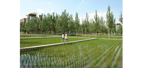 沈陽(yáng)建筑大學(xué)