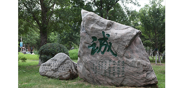 沈陽師范大學