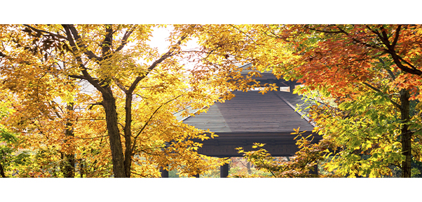 大連外國(guó)語大學(xué)