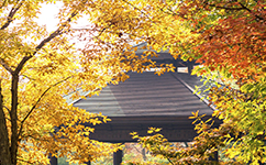 歷史沿革(概)校史