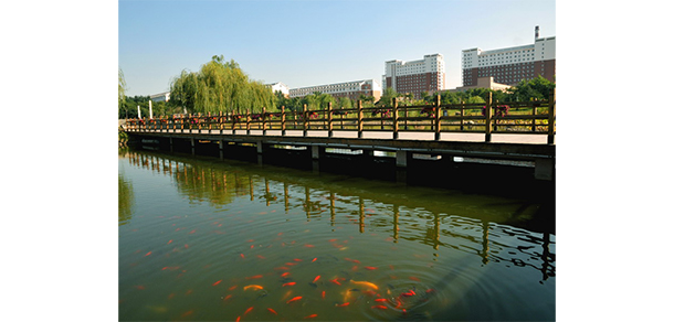 沈陽(yáng)航空航天大學(xué)北方科技學(xué)院