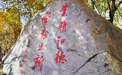 歷史沿革(概)校史