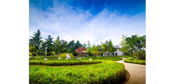 我的大學(xué)-大學(xué)志