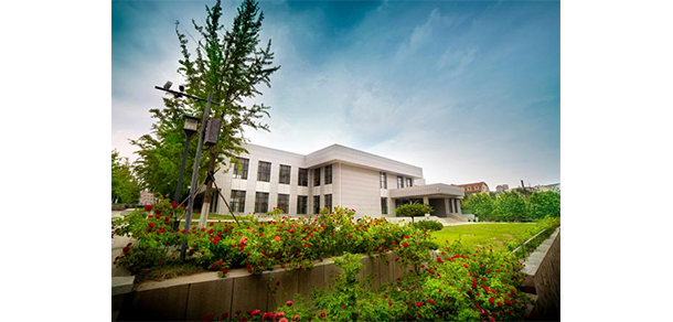 我的大學(xué)-大學(xué)志