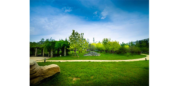 我的大學(xué)-大學(xué)志