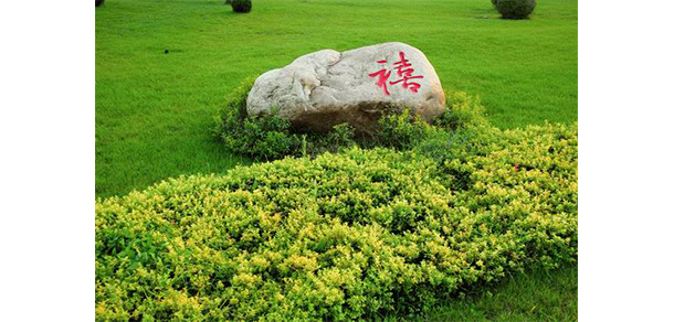 遼寧體育運(yùn)動職業(yè)技術(shù)學(xué)院