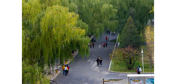 沈陽職業(yè)技術學院