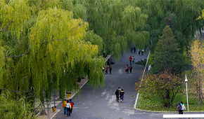 沈陽(yáng)職業(yè)技術(shù)學(xué)院