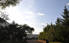 吉林電子信息職業(yè)技術學院 - 我的大學