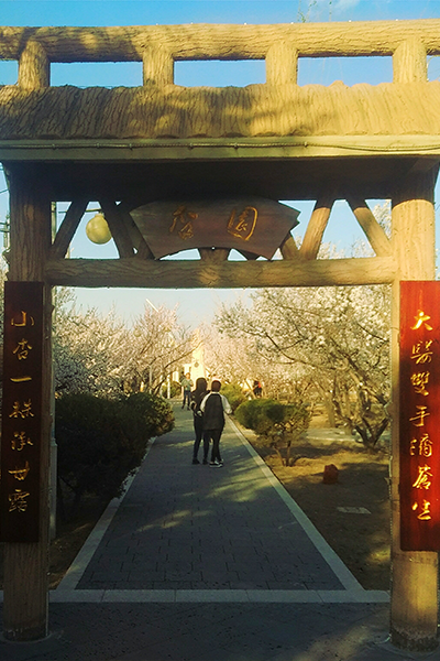 白城醫(yī)學(xué)高等?？茖W(xué)校