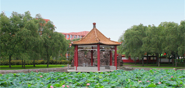 我的大學-大學志