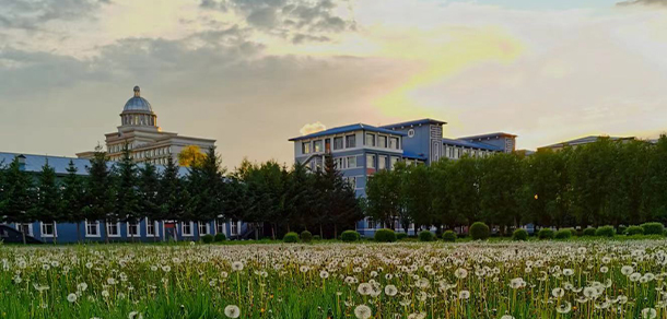 伊春職業(yè)學院 - 最美大學