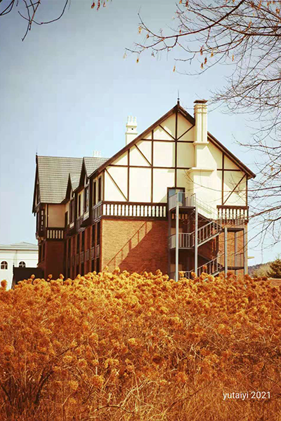伊春職業(yè)學院