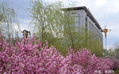 黑龍江農墾科技職業(yè)學院 - 我的大學