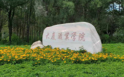 大慶職業(yè)學院 - 我的大學