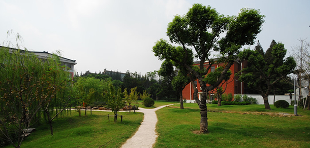 上海體育學院 - 最美大學