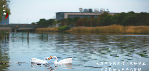 上海海事大學(xué)