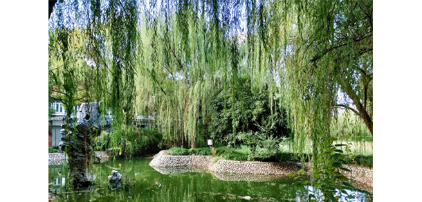 我的大學(xué)-大學(xué)志
