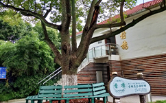歷史沿革(概)校史