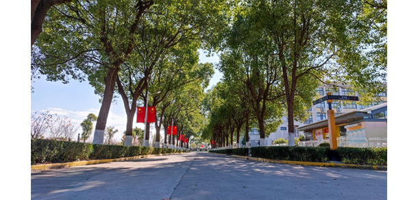 上海工商職業(yè)技術學院 - 最美大學