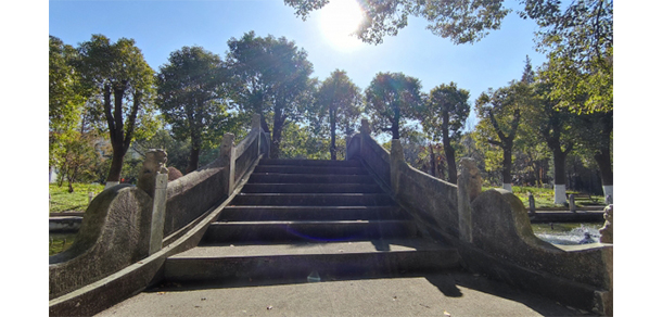 上海工商職業(yè)技術學院 - 最美大學
